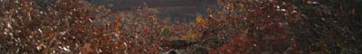 Round Mountain, CT