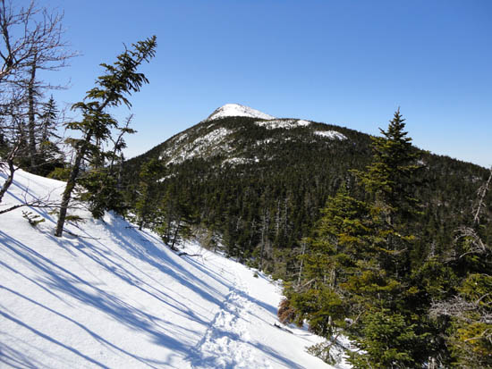 The Appalachian Trail on the way to Bigelow Mountain's West Peak