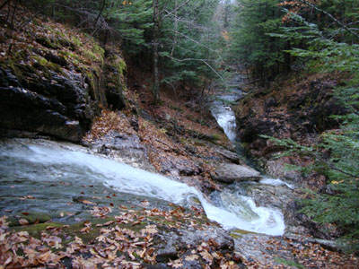 The lower Bickford Slides