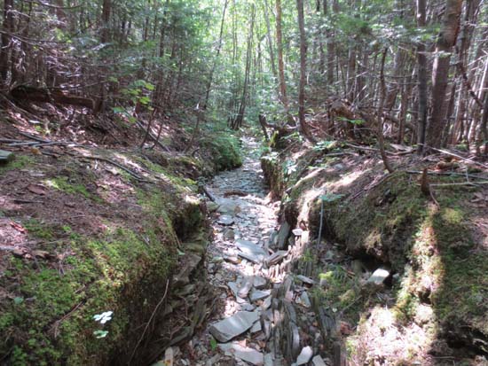 The lower portion of the trail to Boundary Bald Mountain