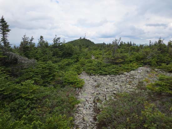 The upper portion of the blue trail on Boundary Bald Mountain