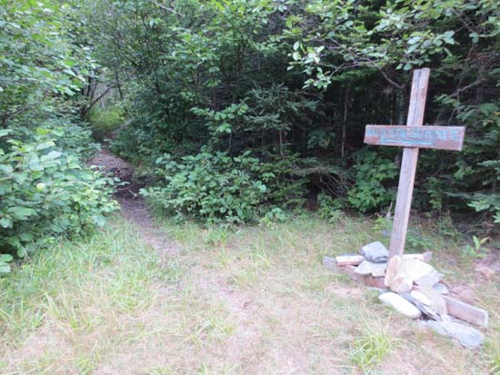 The start of the trail to Boundary Bald Mountain