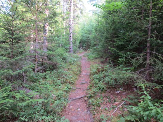 The Horseshoe Pond Trail
