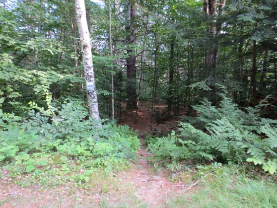 The Horseshoe Pond Trail trailhead on Deer Hill Road
