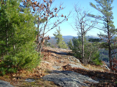 Looking down the Mt. Cutler Trail