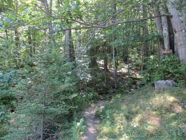 The Spruce Mountain Trail trailhead off Route 17