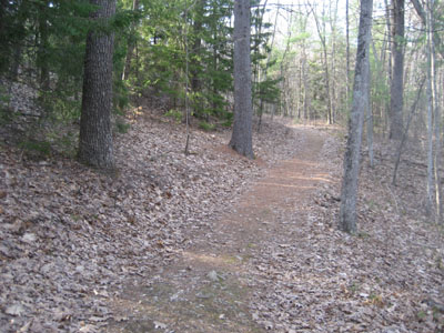 The Monson Trail on Nobscot Hill
