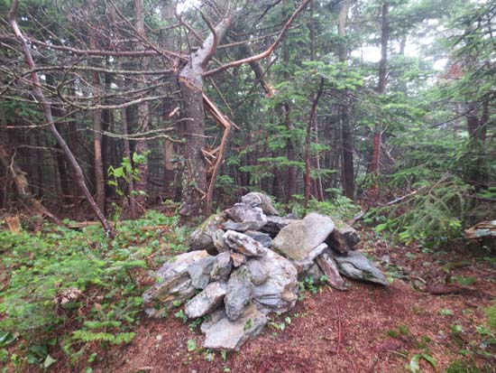 The highpoint of Saddle Ball Mountain - Click to enlarge