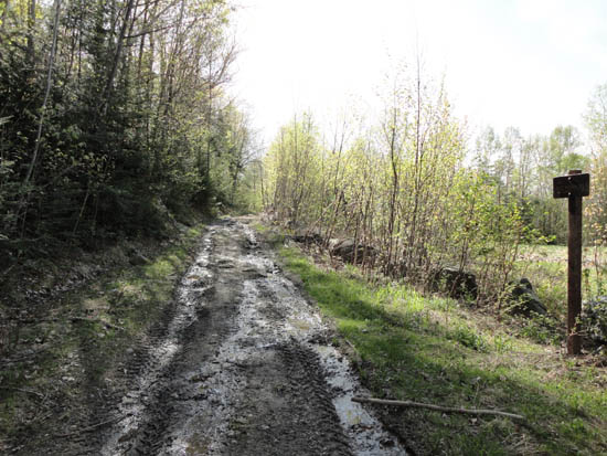 The Black Mountain Trail trailhead