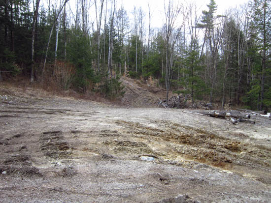The start of the logging road