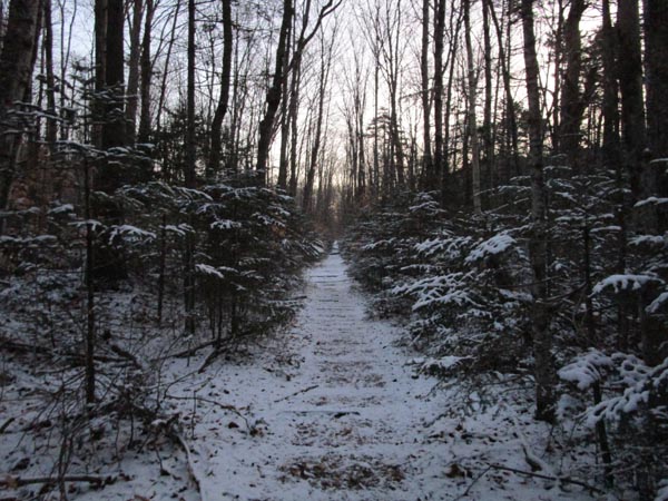 The lower Bondcliff Trail