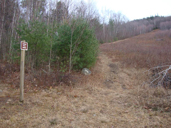 The Burleigh Mountain hiking trail