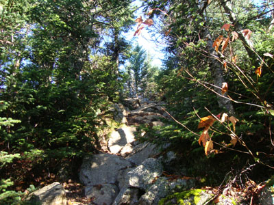 The Carter-Moriah Trail on the way to Carter Dome