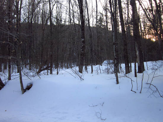 Entering the woods from near the end of the plowed portion of Stinson Lake Road, just past Buzzell Road