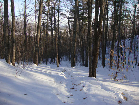 The Ridge Trail on the way to East Rattlesnake