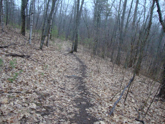 The Ridge Trail to East Rattlesnake