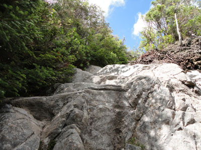 The Garfield Ridge Trail on the way to Galehead Mountain