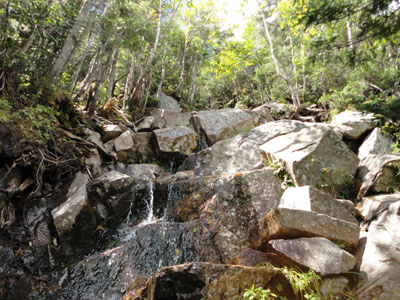 The Garfield Ridge Trail below the campsite, on the way to West Garfield Ridge