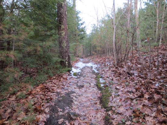 Hamilton's Path on Great Hill