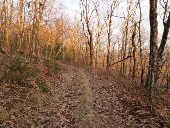 The tower access road on Green Mountain