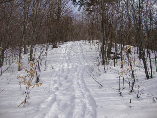 Looking up the logging road on the way to Hersey Mountain