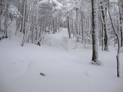 Looking up the drifted Mt. Kinsman Trail