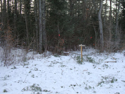 The new Mt. Kinsman Trail trailhead off Route 116