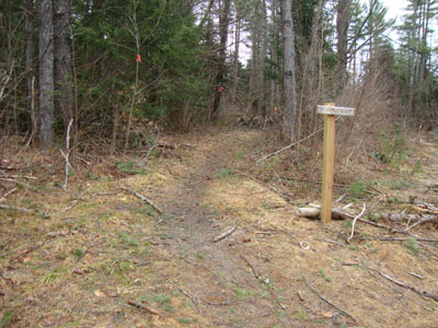 The new Mt. Kinsman Trail trailhead off Route 116