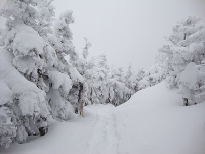The Kinsman Ridge Trail between the peaks