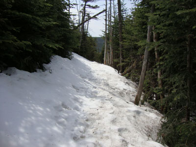 The Kinsman Ridge Trail between the peaks