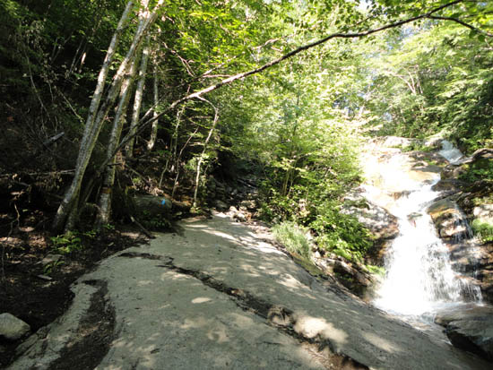 Looking up the Falling Waters Trail
