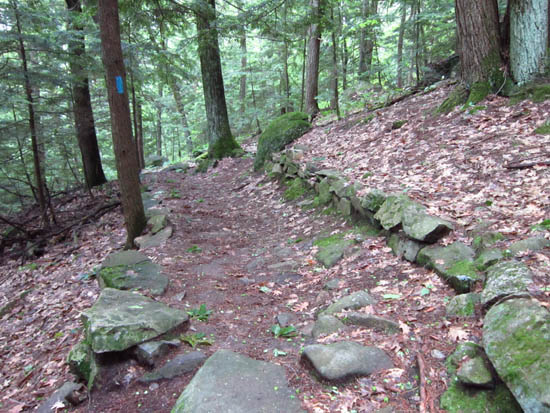 Looking down the Lakeview Trail
