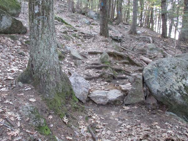 Looking up the Lakeview Trail