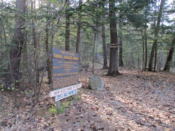 The Lakeview Trail trailhead near the Locke's Hill parking area