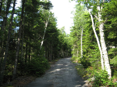 The road up Mt. Agassiz