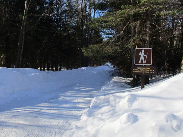 The York Pond Trail trailhead