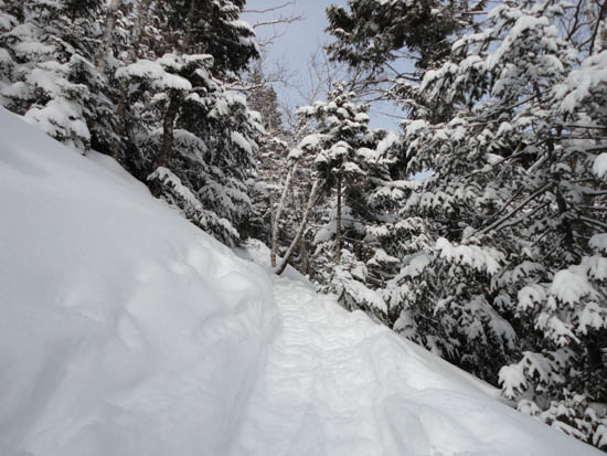 Looking up the Mt. Osceola Trail