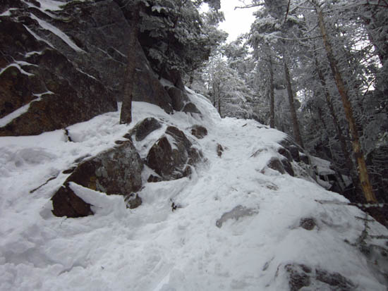 The Mt. Osceola Trail between Mt. Osceola and the East Peak
