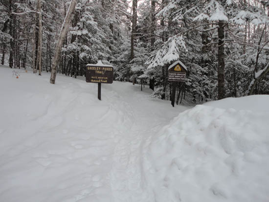 The Greeley Ponds Trail trailhead
