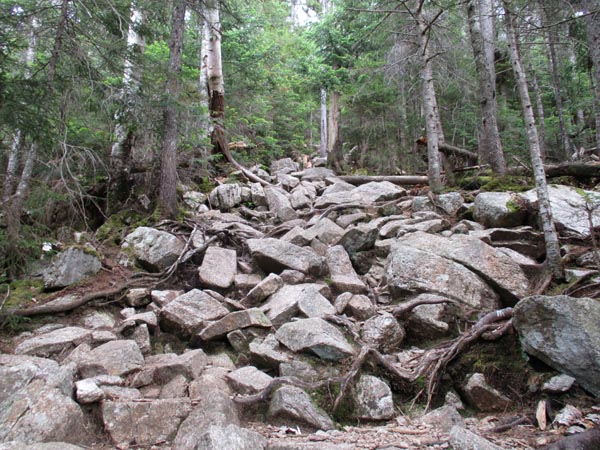 Looking up the heavily eroded Avalon Trail
