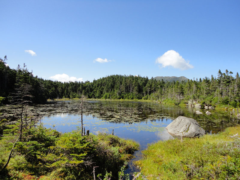 Mt. Garfield, Garfield Ridge (West Peak), Garfield Ridge (East Peak