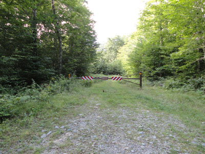 The beginning of the logging road off Gale River Road