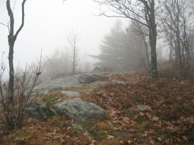 Looking up Orange Trail on the Mack Ridge