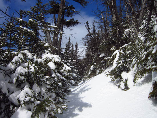 Mt. Osceola Trail to Mt. Osceola