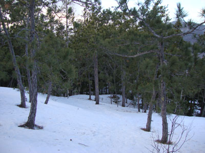 Looking down the Mt. Stanton Trail on the way to Mt. Pickering