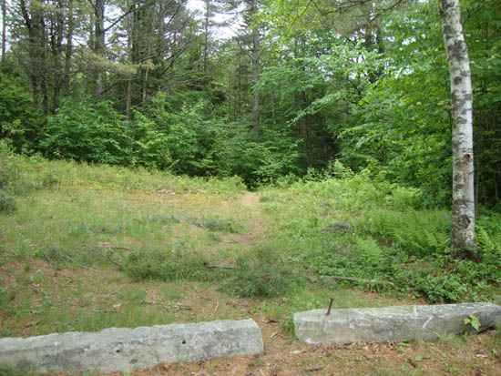 The trailhead on Mt. Prospect Road