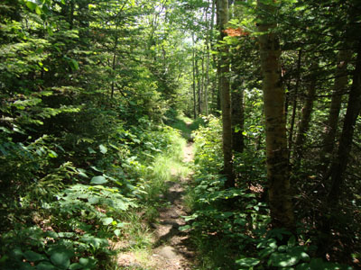 Looking down the Stairs Col Trail
