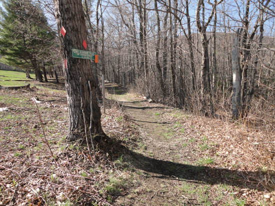 Mt. Roberts Trail trailhead near the horse barn
