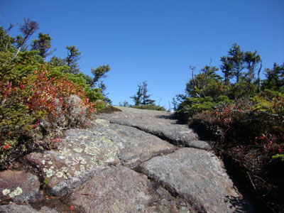 The Carter-Moriah Trail on the way to North Carter