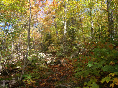 The Imp Trail on the way down from North Carter